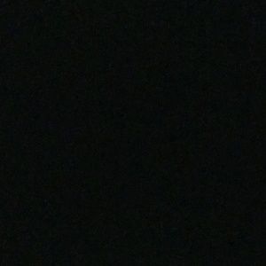 Meet your Posher, Gary